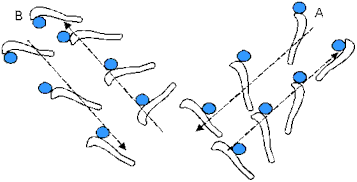 ROLLING PUCK &ldquo;V&rdquo; DIAGRAM