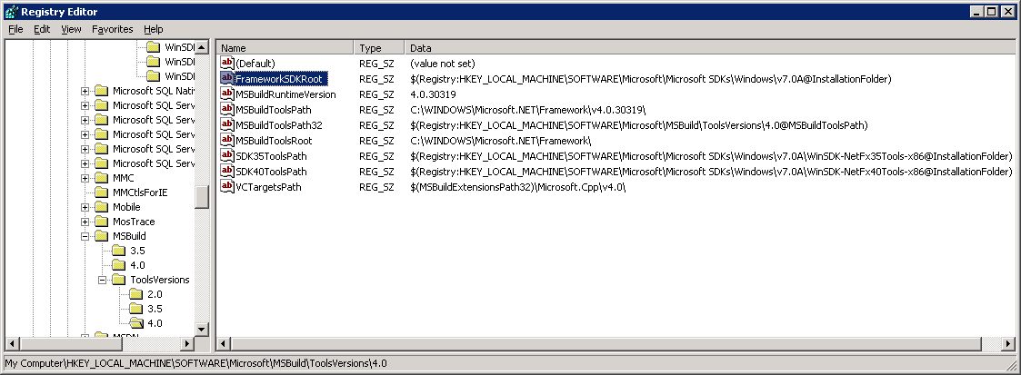 Registry View of the MSBuild Settings for .NET 4.0